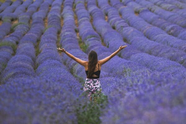 woman standing near lavender pplants
